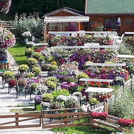 Appartement Planaiblick Schladming Luaran gambar