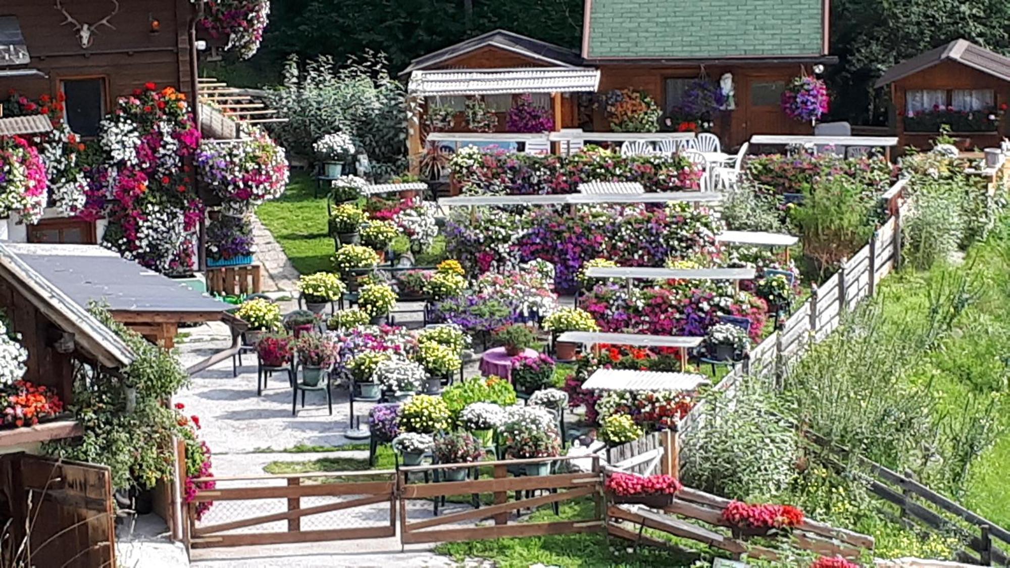 Appartement Planaiblick Schladming Luaran gambar